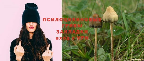 а пвп мука Арсеньев