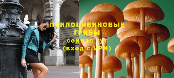 а пвп мука Арсеньев