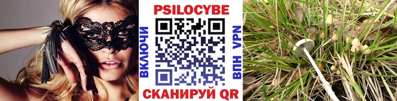 где можно купить Певек Галлюциногенные грибы GOLDEN TEACHER